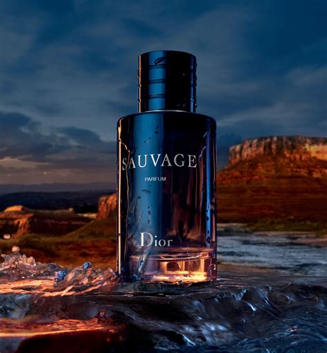 dior saucafe|Dior Sauvage best price.